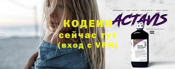 трава Сатка