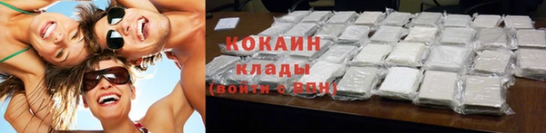 трава Сатка