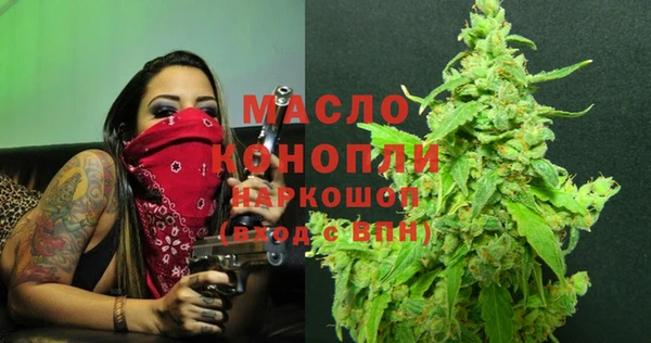 трава Сатка