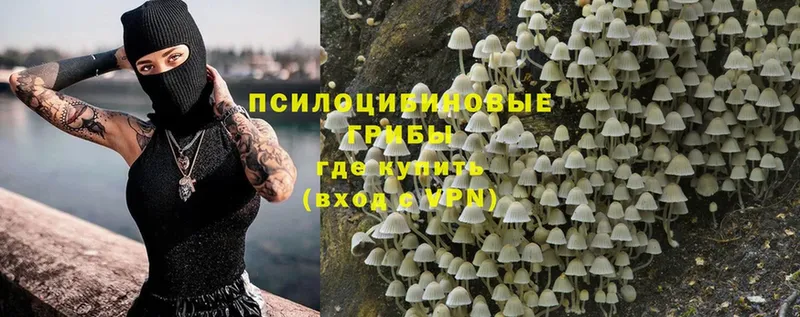 Галлюциногенные грибы MAGIC MUSHROOMS  купить   Балашов 