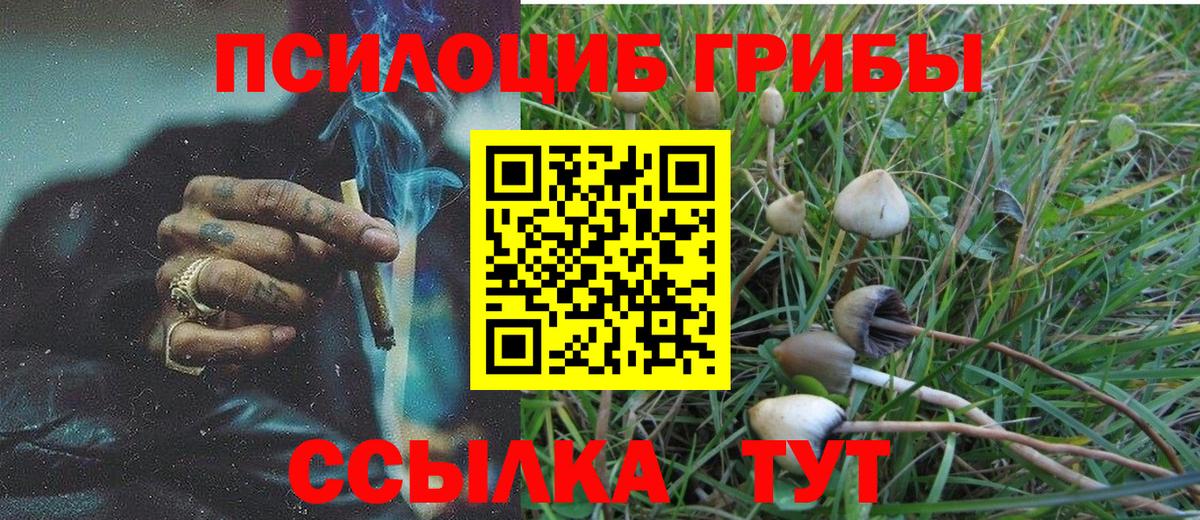 Галлюциногенные грибы прущие грибы  Вход с VPN  Псилоцибиновые грибы Psilocybine cubensis  Балашов 